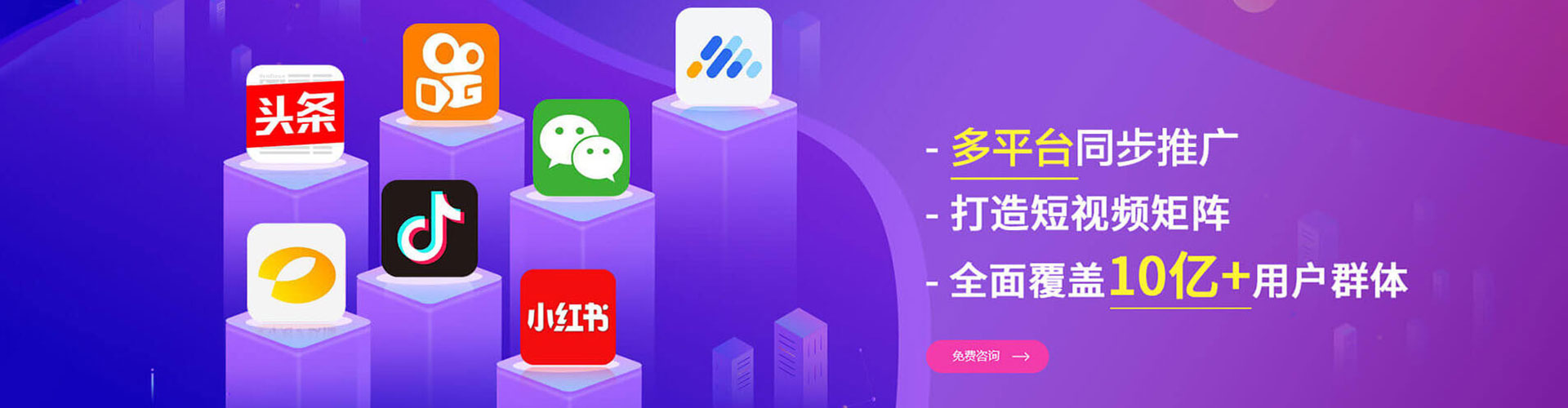 新野竞价托管